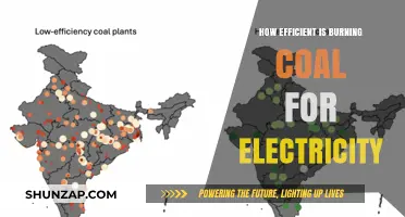 The Dark Side of Burning Coal for Electricity