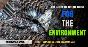 Electric Car Batteries: Uncovering Their Hidden Environmental Impact