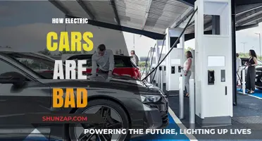The Hidden Downsides of Electric Vehicles: Environmental and Practical Concerns
