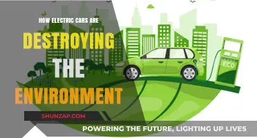 Electric Vehicles' Hidden Environmental Costs: Uncovering the Green Myth