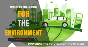 Electric Vehicles' Hidden Environmental Costs: Beyond the Green Illusion