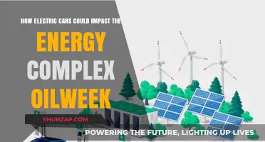 Electric Cars: Transforming the Energy Complex and Oil Industry Dynamics