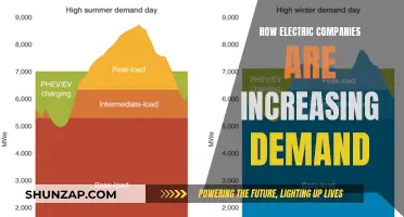 Electric Companies: Boosting Demand with Innovative Strategies