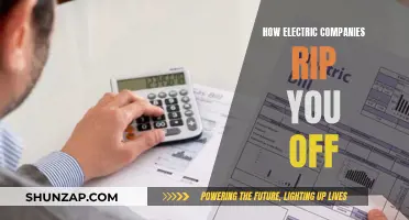Electric Companies: Overcharging and Exploiting Customers