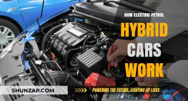 Understanding Electric-Petrol Hybrid Cars: Mechanics, Efficiency, and Benefits