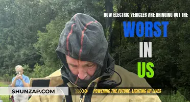 Electric Vehicles: Unveiling Our Dark Side