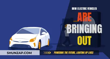 Electric Vehicles: Powering a Sustainable Future