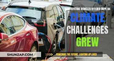 Electric Revolution: How EVs Offered Hope Amid Climate Crisis