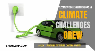 Electric Vehicles: Hope in the Face of Climate Adversity