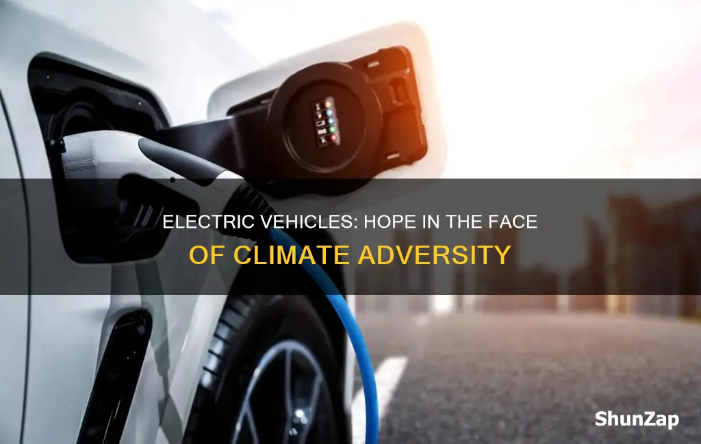 how electric vehicles offered hope as climate challenges grew