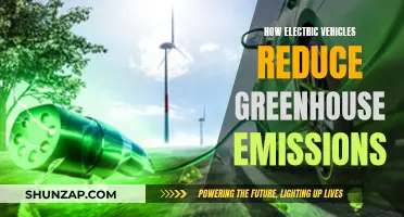 Green Revolution: Electric Vehicles Lead the Way to a Cleaner Future