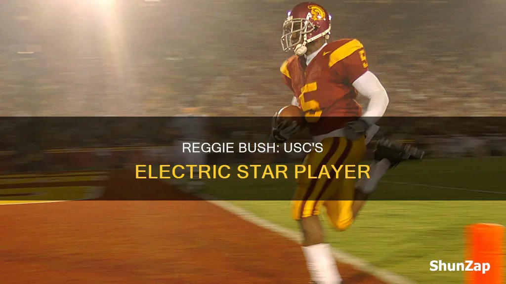 how electric was reggie bush at usc