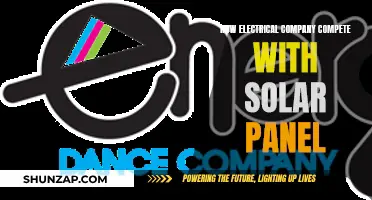 Electrical Companies: Competing with Solar Power's Rise
