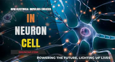 Electrical Impulses: Neurons' Intricate Dance