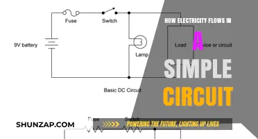 Electricity Flow in Circuits: Understanding the Basics