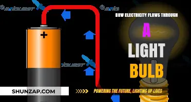 Electricity's Journey: Lighting Up a Bulb