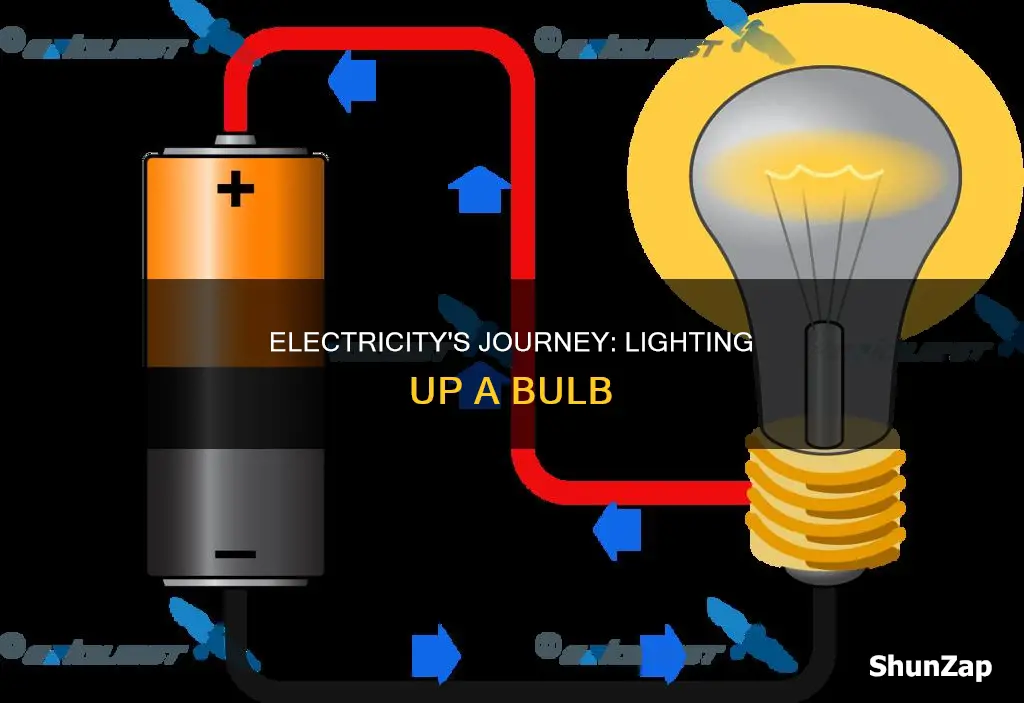how electricity flows through a light bulb