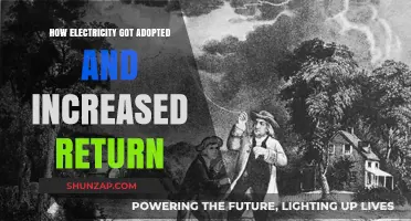 Electricity's Historical Adoption: A Profitable Revolution