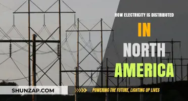 Electricity Distribution in North America: A Complex Network