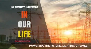 Electricity's Role: Powering Our Daily Lives
