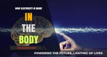 Electricity in the Body: How Does it Work?