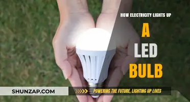 Electricity's Journey: Lighting Up LED Bulbs