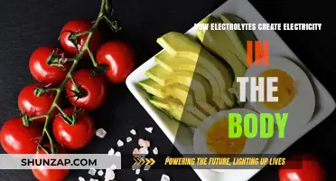 Electrolytes: Powering the Body's Electrical System