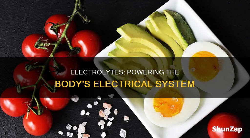 how electrolytes create electricity in the body