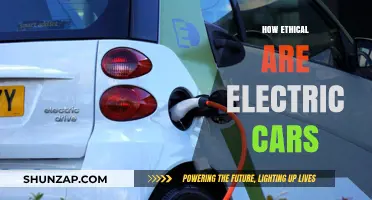 Electric Cars: Uncovering the Ethical Dilemmas Behind Sustainable Transportation