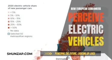 European Perspectives: Embracing or Hesitant About Electric Cars?