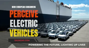 European EV Perceptions: Consumer Mindsets and the Energy Transition