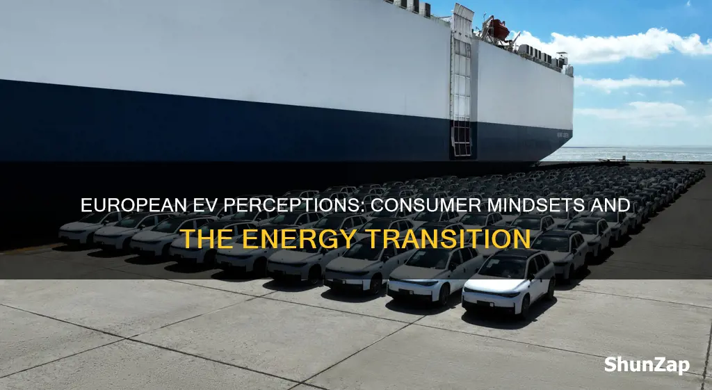 how european consumers perceive electric vehicles