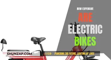 Electric Bike Costs: Are They Worth the Price?