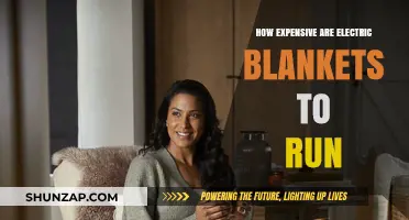Electric Blankets: Costly Comfort or Efficient Warmth?