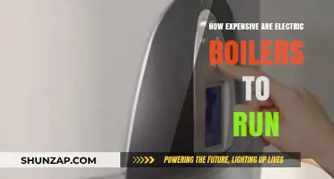 Electric Boilers: Are They Costly to Operate?