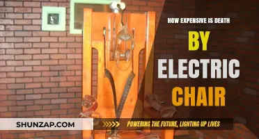 The High Cost of Death by Electric Chair