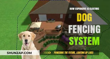 Electric Dog Fencing: How Much Does It Cost?