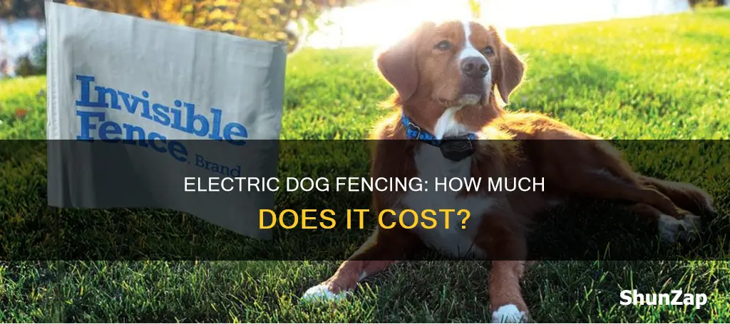how expensive is electric dog fencing system