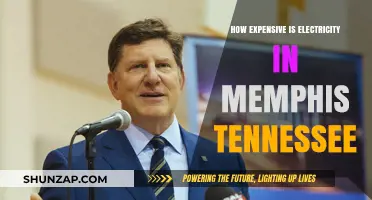 Memphis Electricity Costs: A Pricey Problem?