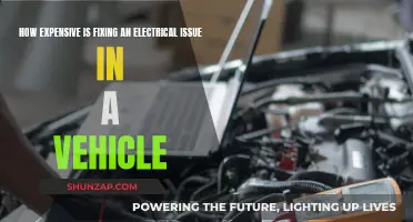 Electrical Vehicle Repairs: Costly Conundrum?
