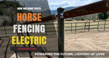 Electric Horse Fencing: Optimal Post Distance
