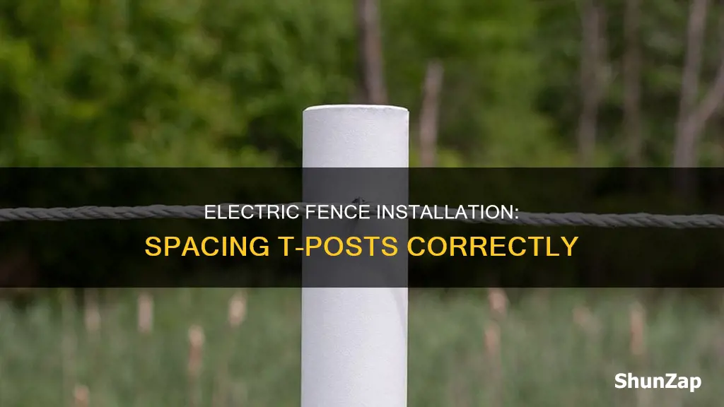 how far apart t posts electric fence