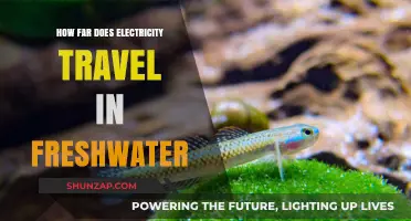 Freshwater Electricity: How Far Does It Travel?