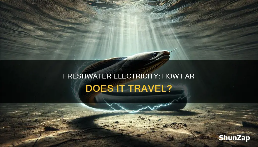 how far does electricity travel in freshwater