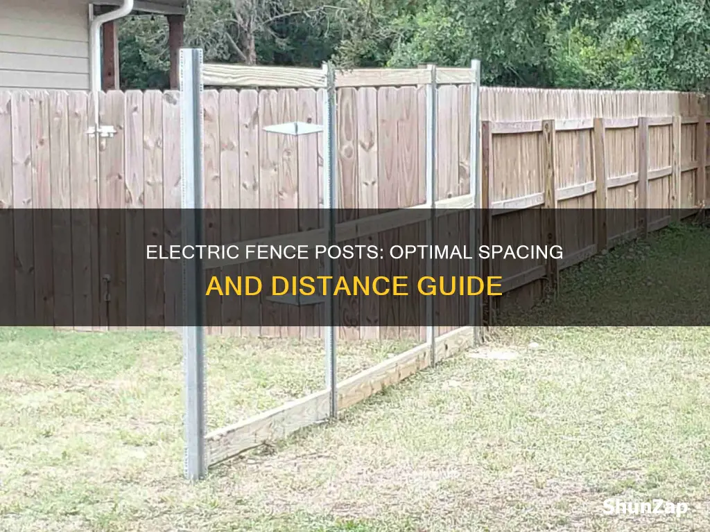 how far to put electric fence posts