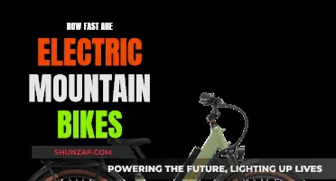 Electric Mountain Bikes: Unlocking New Speeds on Trails