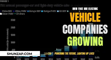 Electric Vehicle Revolution: Rapid Growth and Future Innovations