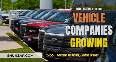 Electric Vehicle Companies: Rapid Growth and Future Prospects