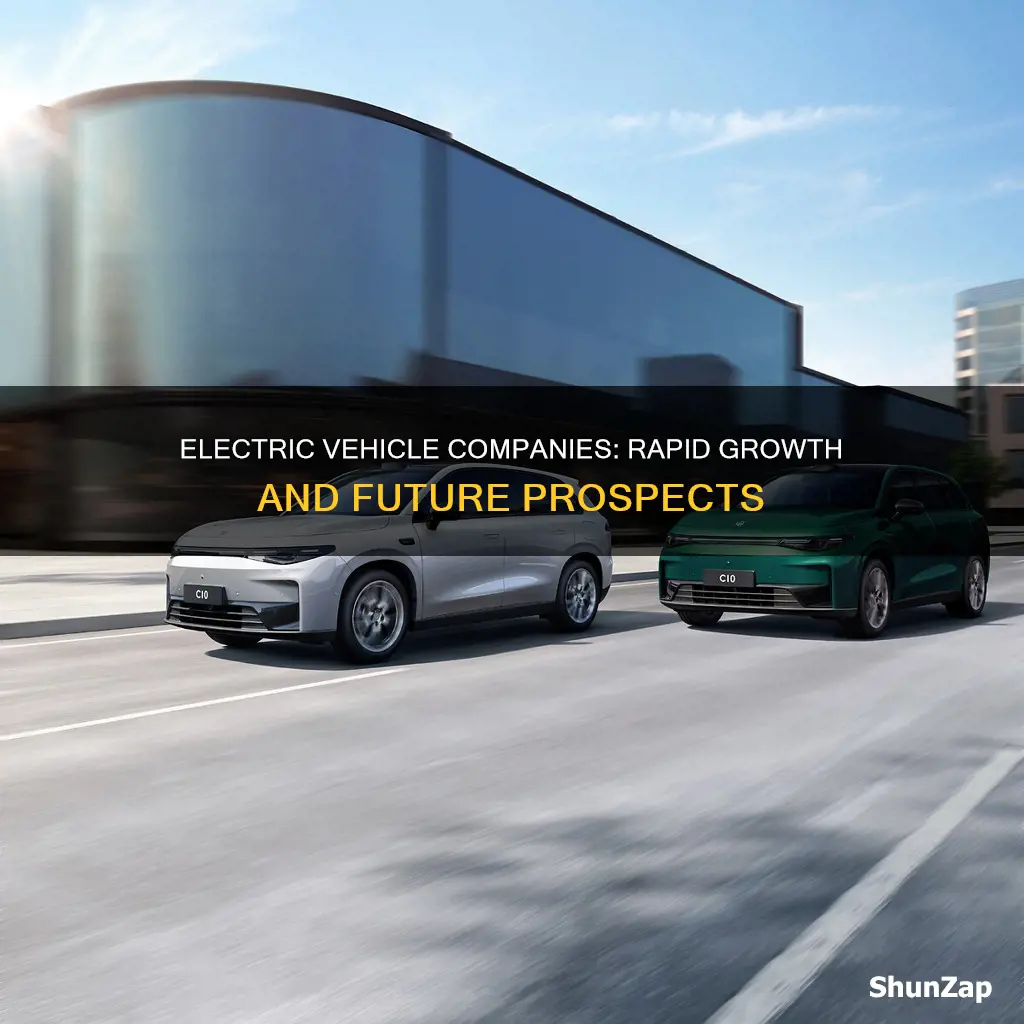 how fast are electric vehicle companies growing
