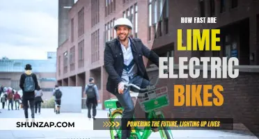 Exploring the Speed of Lime Electric Bikes